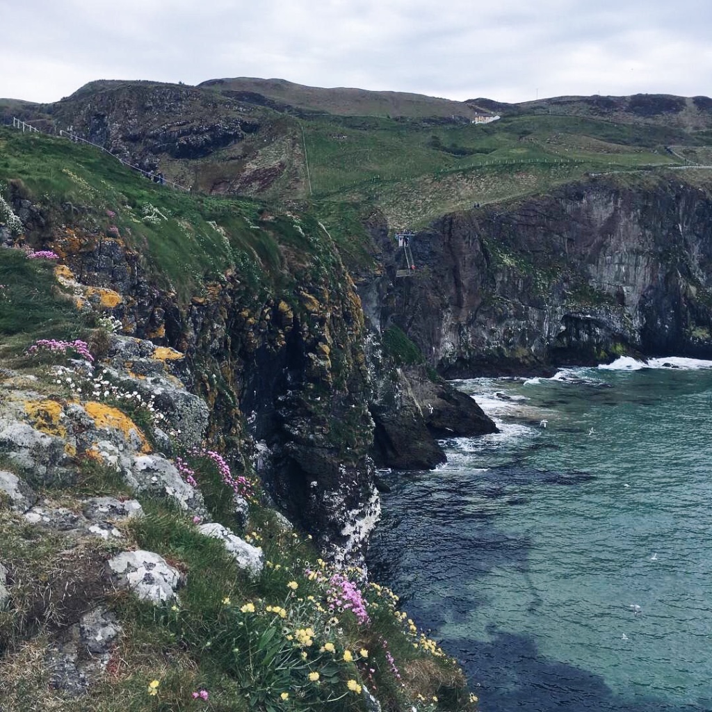 6B052272-FDE5-4A1D-B81D-52E476149B73_1_105_c