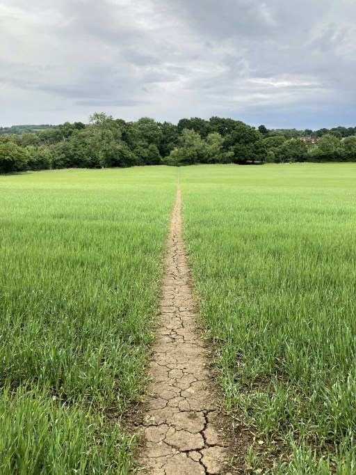 michael-barnes-oJrH3ctAODE-unsplash