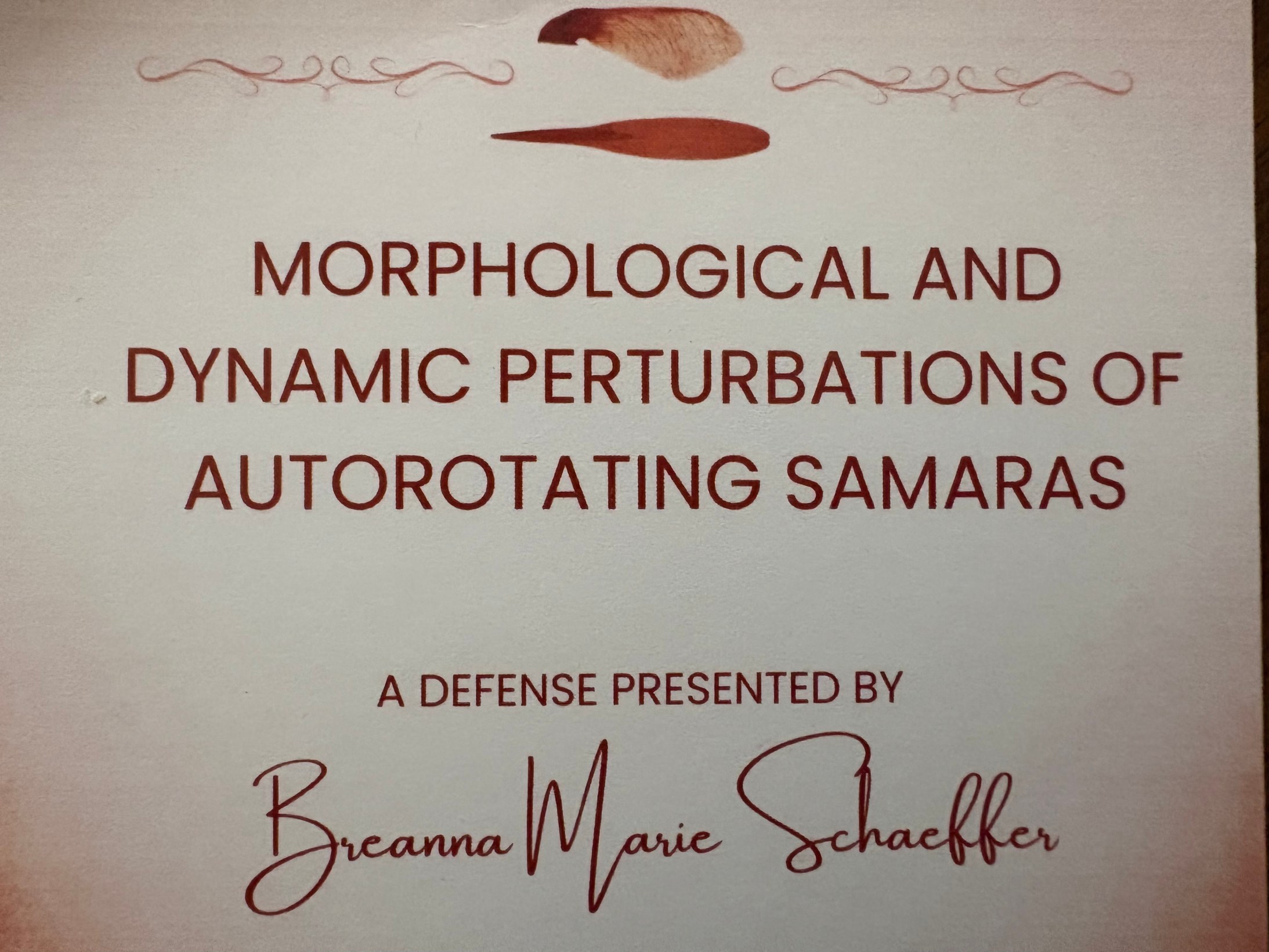 unnamed - 2025-12-10T135451.173