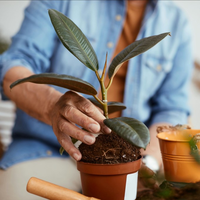 unnamed - 2025-12-15T204412.595