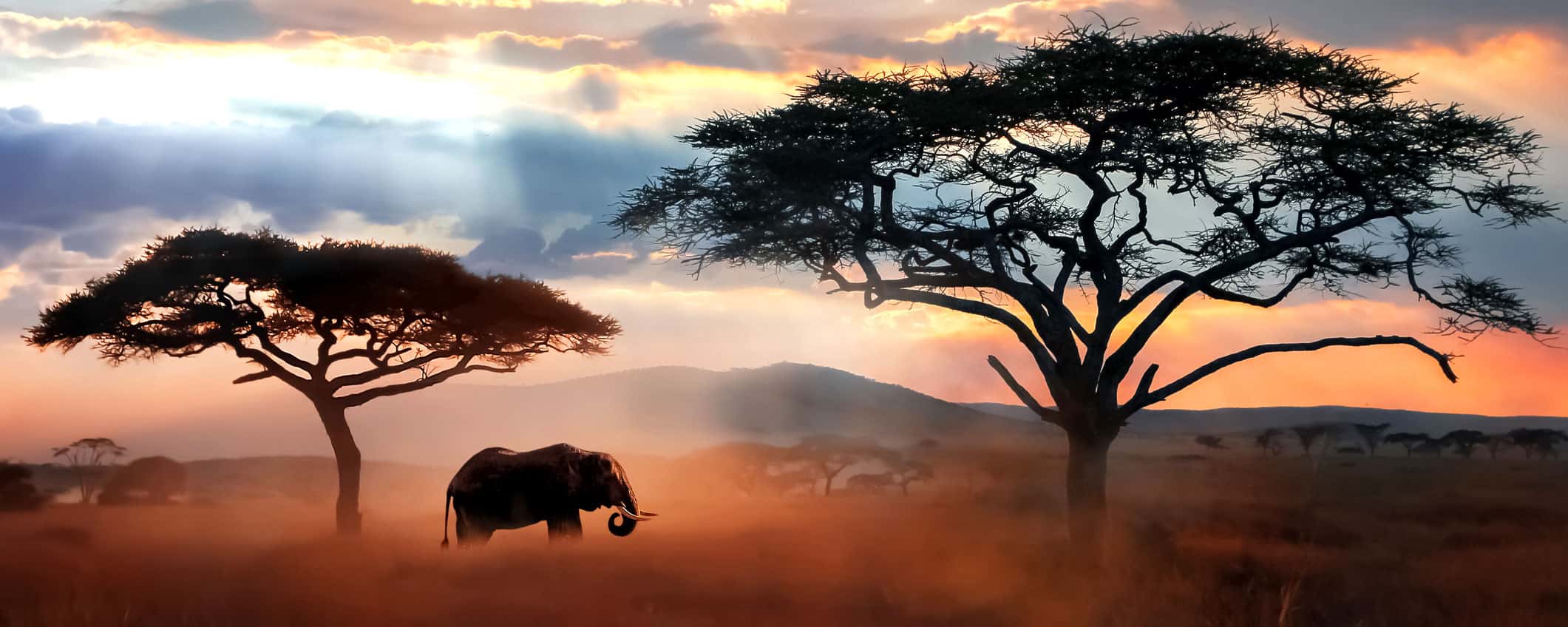 Tanzania