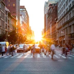 The-Apprentice-Program