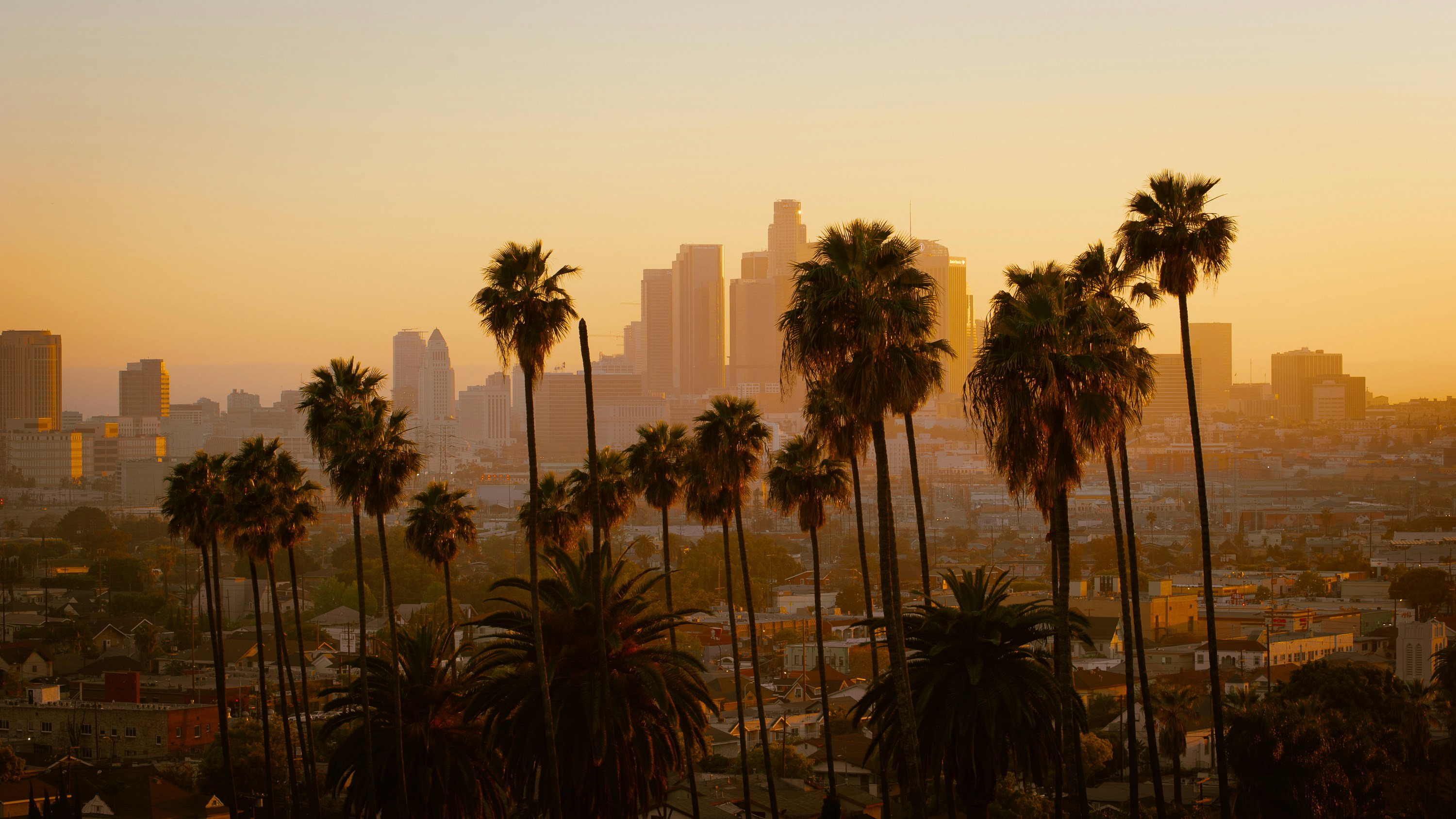 Photo by Cedric Letsch on Unsplash