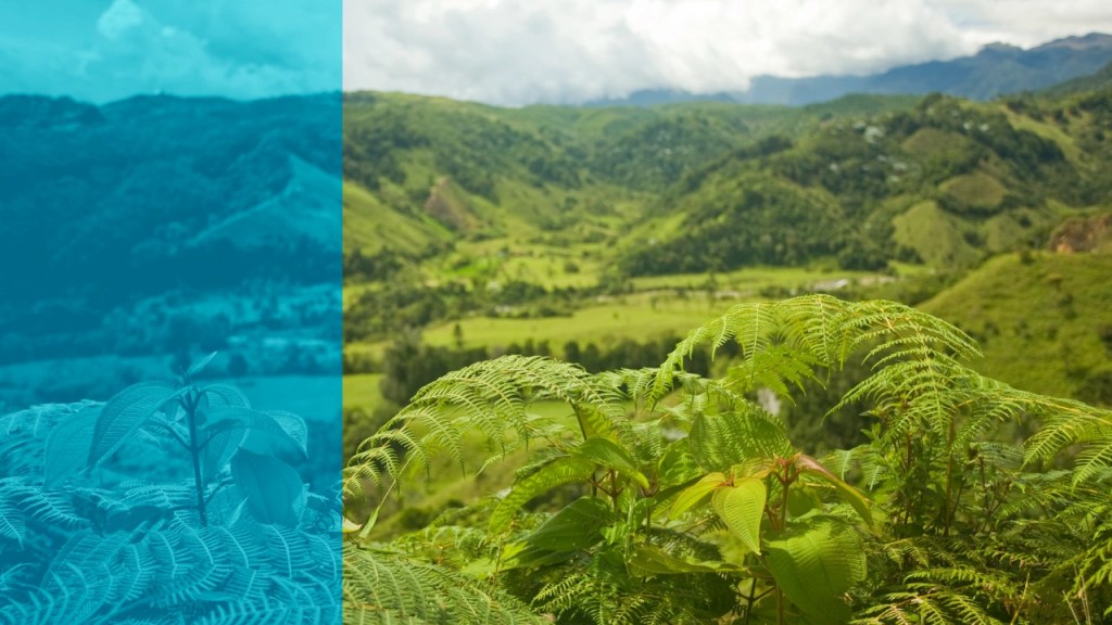colombia-summer-mission_-ministry-to-immigrants-internationals-and-refugees-web-thumbnail